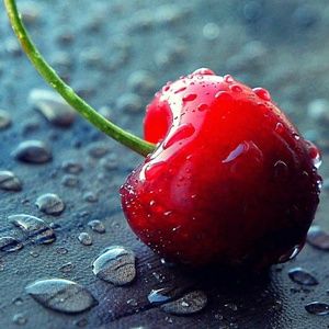 Meet your Posher, Nora